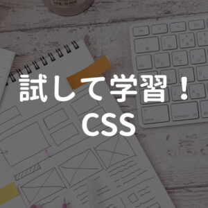 【試して学習！CSS】CSSを実際に書いてみよう
